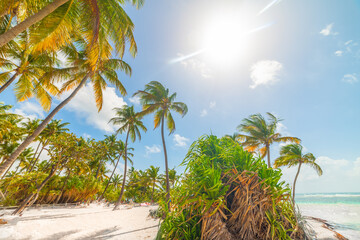 Sun shining over beautiful La Caravelle beach in Guadeloupe
