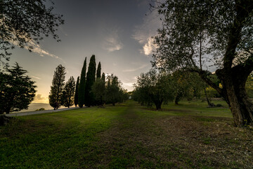 tuscany landscapes