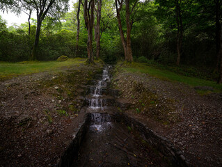 waterfall in the forest