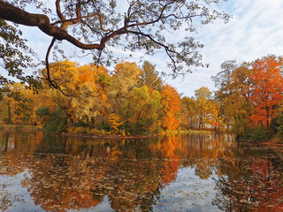 Fototapeta premium Autumn in the park. Trees with bright, already falling leaves are reflected in the pond water along with the sky and beautiful clouds.