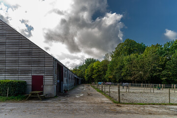 The new horse stables used for international competitions, at the National Riding Center Vilhelmsborg