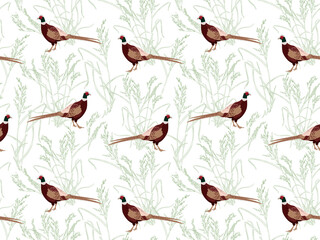 Seamless pattern with hand drawn pheasants and plants, grass on a white background