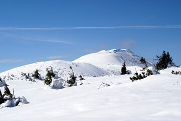 Mountain peak on a winter day, Beskids, Poland