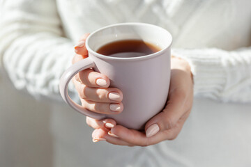 A woman in a warm white sweater holds a mug in her hands. Close-up of female hands holding a cup of coffee or tea