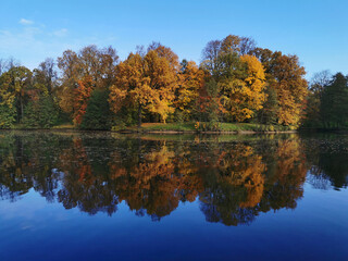 Autumn in the park. Trees with bright, colorful leaves grow around the pond and are reflected in its blue wat