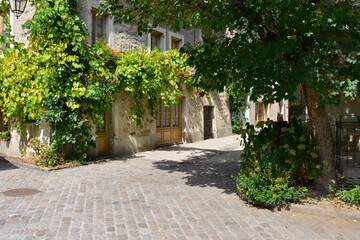 Fototapeta na wymiar Rue Eugène Goy fleurie à Désaignes (07570), département de l'Ardèche en région Auvergne-Rhône-Alpes, France