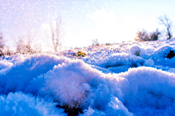 winter landscape with snow
