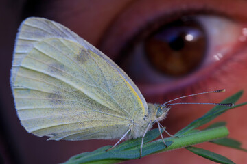 Selfie with butterfly