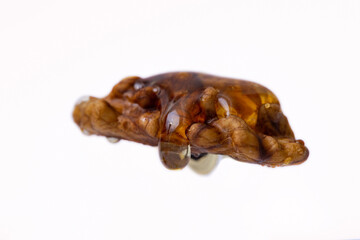 walnut covered in honey, isolated on white background