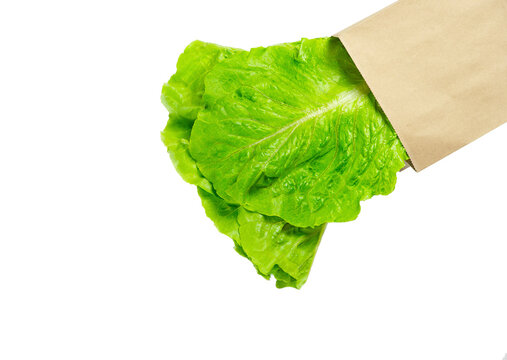 Fresh lola rosso lettuce leaves in craft package isolated on white background.
