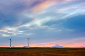 Obraz premium WInd Turbines on wheat field at sunset