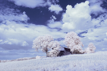 infrared photography - surreal ir photo of landscape with trees under cloudy sky - the art of our...