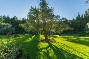Fantastic day with blooming hills in warm sunlight at twilight. Dramatic and picturesque morning scene. Location place: Carpathian, Ukraine, Europe. Artistic picture. Beauty world. Soft filter effect.