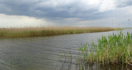 Tafla wody nad jeziorem. 