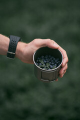 Freshly collected blueberries in the metal mug. Sweet and ripe berries in the forests. Snack during trekking in the mountains.
