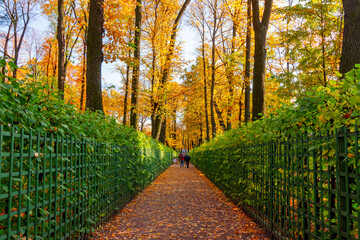 Alley of Summer garden in autumn, Saint Petersburg, Russia