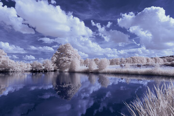 infrared photography - surreal ir photo of landscape with trees under cloudy sky - the art of our...