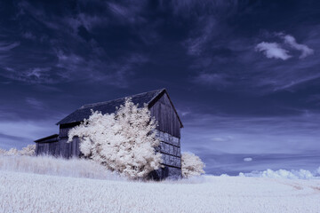 infrared photography - surreal ir photo of landscape with trees under cloudy sky - the art of our...