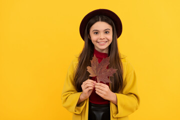 glad kid in hat and coat with autumn maple leaf on yellow background, beauty