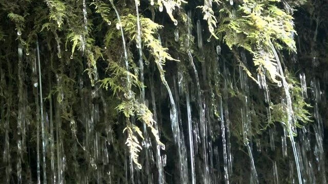 Wasserfall mit Moos