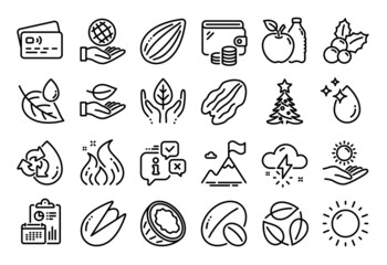 Vector set of Leaf dew, Fair trade and Christmas holly line icons set. Calendar report, Money wallet and Credit card tag. Leaf, Leaves and Pistachio nut icons. Vector