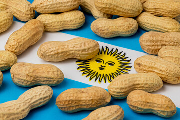 Peanuts in shell on flag of Argentina. Peanut farming, trade, tariffs and market price concept.
