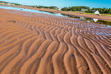 A wide expanse of beach with cottages along the shoreline.