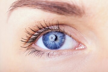 Fototapeta premium Macro image of human eye
