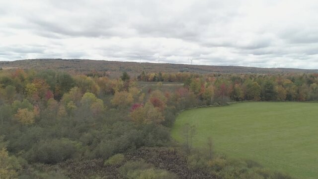 Drone shot over fall colors trees with wind turbines in the background. Trees change color in autumn