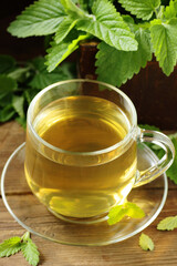 Lemon balm herbal tea in glass cup with fresh plant close, melissa officinalis herb is used for sleep, as digestive, anxiety, stress remedy, closeup, naturopathy and natural medicine concept