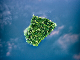 Zielona wyspa na jeziorze.