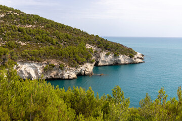 Promontory of the Gargano. Gargano coast near Vieste in summer. Mountains, greenery and sea on the Gargano in Puglia, Italy