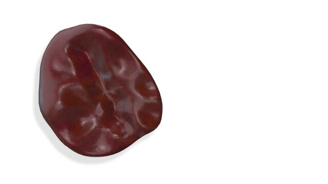 Spleen, internal organs 3D render, anatomy of the human body, white background with luma matte for transparency.