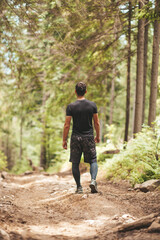 A man walks through the woods. Wildlife recreation. Harmony with the environment.