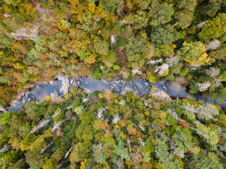Aerial View of River Flowing through Pisgah National Forest in North Carolina in the Fall - obrazy, fototapety, plakaty