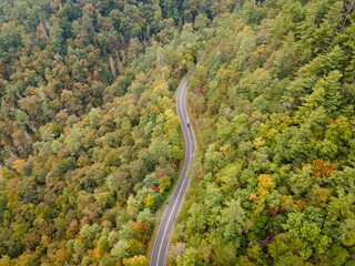 Aerial View of Winding Road in the Pisgah National Forest in North Carolina in the Fall