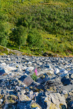 Sysenvatnet demning // V&oslash;ringfoss, Norway