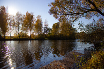 Obraz premium reflection of trees in the water