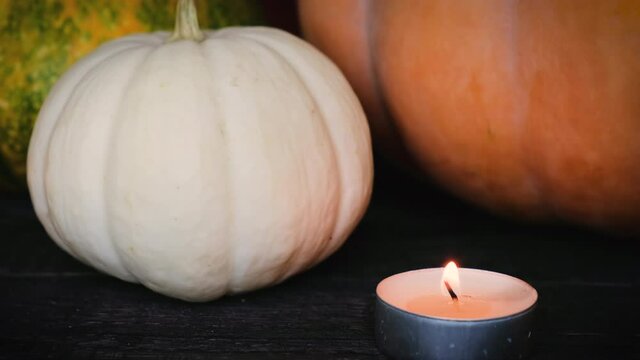 A small round candle burns in the dark against a background of white, orange and green pumpkins. Halloween concept