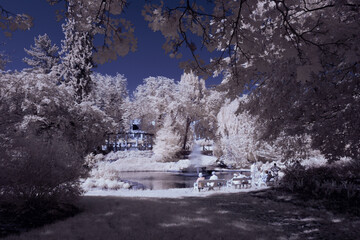 infrared photography - surreal ir photo of landscape with trees under cloudy sky - the art of our...