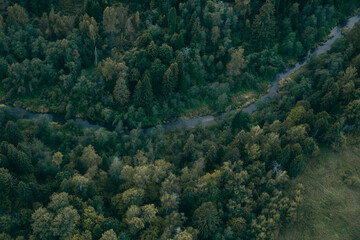 Naklejka na ściany i meble aerial view of forest at autumn