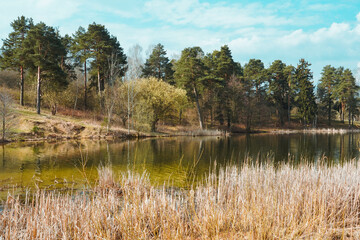 Fototapeta premium Photo of green river and green trees
