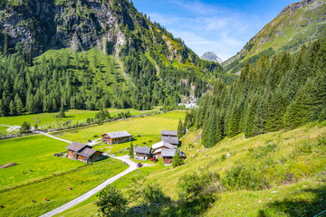 Idyllic farm house and green meadow pasture in alpine valley, Hohe Tauern, Austrian Alps