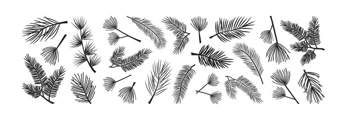 Christmas tree and pine cone, fir vector icon. Evergreen plant, pine branch set. Black silhouettes isolated on white background. Winter nature illustration