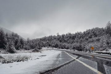 Ruta nevada