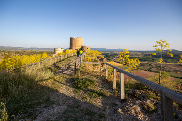 Fototapeta premium The historic town of Moya on hill during the flowering of the ferula communis flowers in June 2021 Cuenca Castile La Mancha Spain