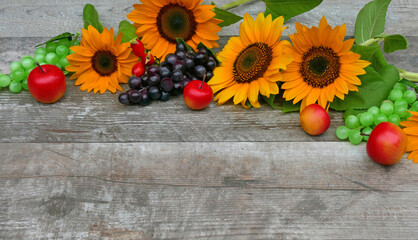 Sonnenblumen mit Trauben und Äpfeln.