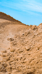 sand dunes in park