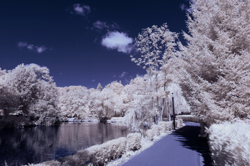 infrared photography - surreal ir photo of landscape with trees under cloudy sky - the art of our...