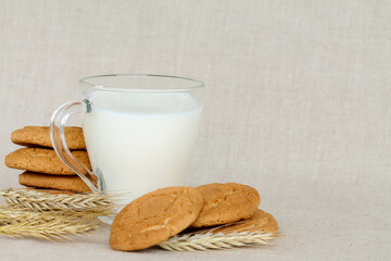oatmeal cookies, ears of wheat with a glass of milk on a linen background, text space. 